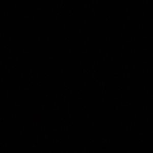 Meet your Posher, Claudia